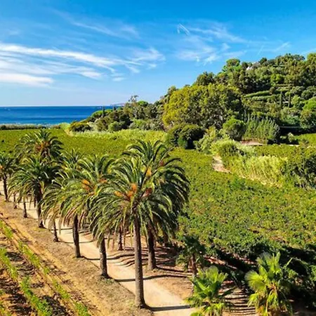 Dom wakacyjny Maison Renovee Avec Jardin Et Climatisation, Proche Vignes - Fr-1-726-28 La Croix-Valmer